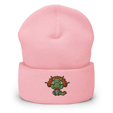 Load image into Gallery viewer, Cuffed Beanie