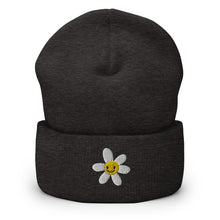 Load image into Gallery viewer, Sunshine Smiley Daisy Embroidered Cuffed Beanie, Beanies Hats For Men, Beanie For Women
